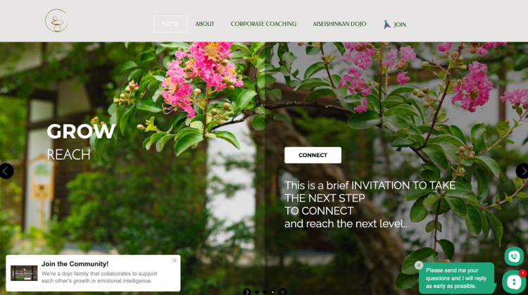 Aiseishinkan dojo coaching website focused on emotional intelligence growth and connection.