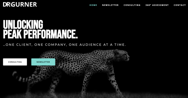 A sleek, high-performance coaching website featuring a black-and-white image of a cheetah, symbolizing speed, agility, and peak performance. The text emphasizes unlocking peak performance through consulting and coaching for performance excellence.
