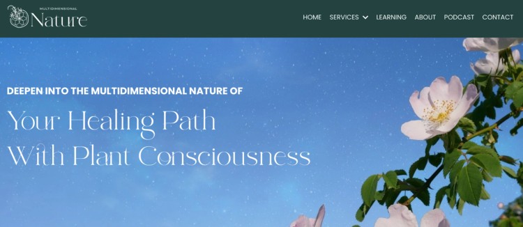 Sara Artemesia's website banner showing her fundamental coaching philosophy of healing through plant consciousness under a starry sky.
