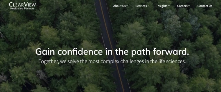 ClearView consultants assist life science companies by solving complex business challenges in the healthcare sector.