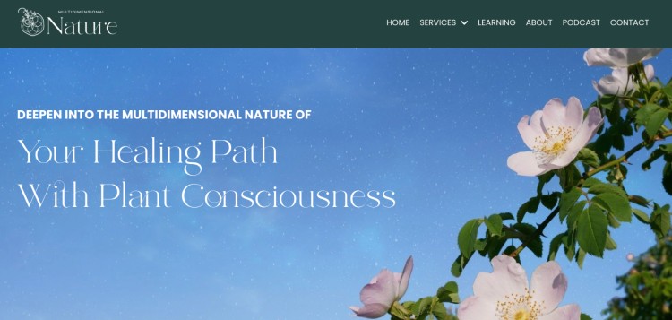 Website header for Multidimensional Nature, featuring blooming flowers and a blue sky, promoting healing through plant consciousness.