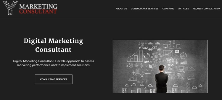 Digital marketing consultant homepage featuring consulting services designed to improve online presence and performance metrics.