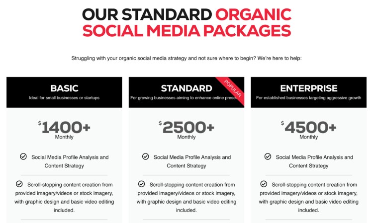 Three-tiered social media service packages including Basic, Standard, and Enterprise pricing for business content strategy.