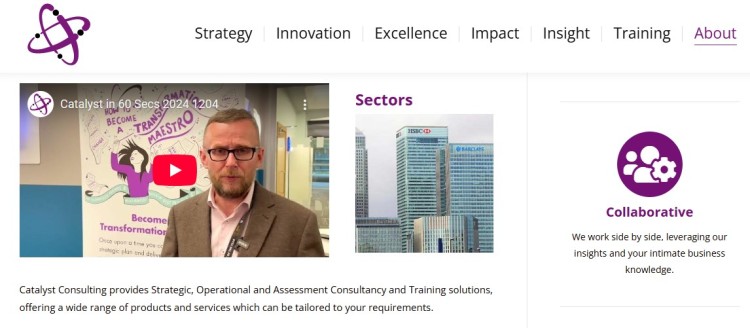 Catalyst Consulting Group about page showing video introduction, sectors served, and collaborative approach to business strategy and training solutions