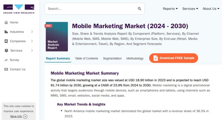 Market research page explaining why mobile marketing is crucial, showing growth projections and key insights for 2024 to 2030.