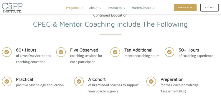 Coach education learning experience overview showing mentor coaching, observed sessions, accredited hours, and practical training components.