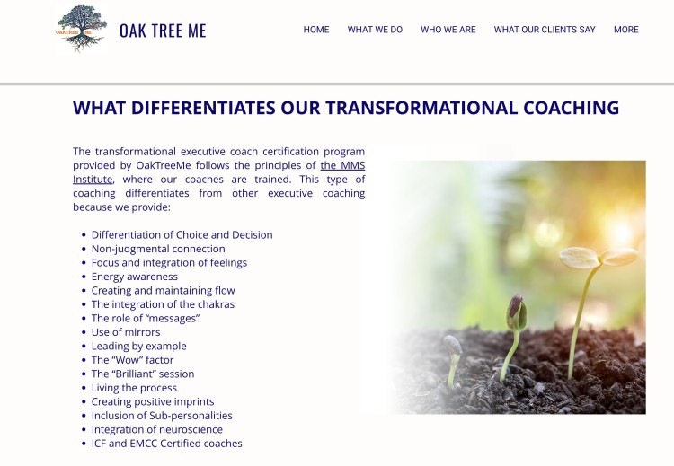Transformational coaching certification overview showing how certification can help coaches develop deeper awareness, presence, and client-centered skills