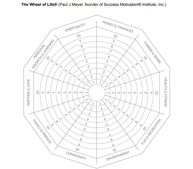 Wheel of Life assessment diagram showing categories including spiritual growth, career, health, and relationships
